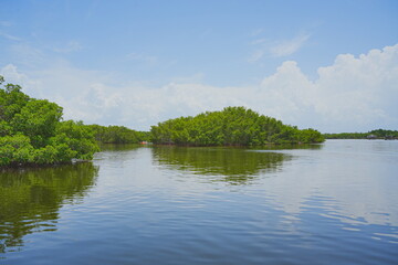 St. Petersburg, Forida, USA 06 29 2025: The landscape of Weedon Island Preserve Cultural and Natural History Center