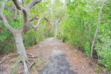 St. Petersburg, Forida, USA 06 29 2025: The landscape of Weedon Island Preserve Cultural and Natural History Center