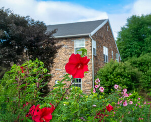 house in the garden