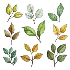 Handdrawn leaves collection featuring various shapes and colors isolated on white background, handdrawn leaves isolated on white background
