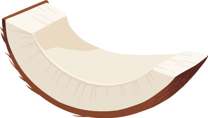 Coconuts and coconut half with leaves isolated on a white background. Vector illustration cartoon flat coconut icon isolated on white background.