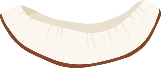 Coconuts and coconut half with leaves isolated on a white background. Vector illustration cartoon flat coconut icon isolated on white background.