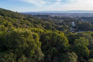 Aerial view of forest parkland in Leona Heights, Oakland, California, USA.