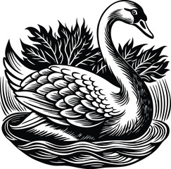 Elegant Black and White Swan Illustration Vector Art Print