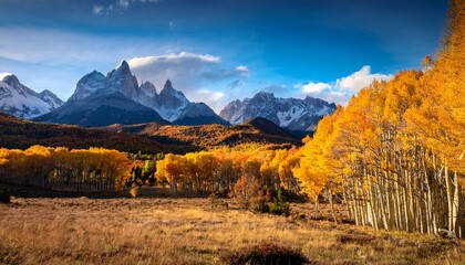 Fototapeta premium yellowish coloured aspens in autumn in front of mountains patagonia argentina