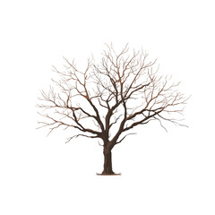 Minimalist brown leafless tree vector illustration on white background, clean 2D digital art in transparent PNG format.