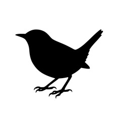 Obraz premium Silhouette of a House Wren Standing with Tail Raised Against a Bright White Background