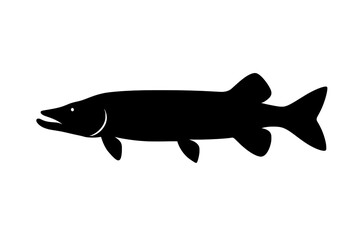 Obraz premium Silhouette of Tiger Muskellunge Fish in Black on White Background