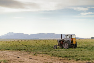 Fototapeta premium Old tractor parked in green pasture with grazing cattle and mountains in background