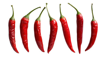Fresh red chili peppers arranged in a line, vibrant colors on a white isolated background.
