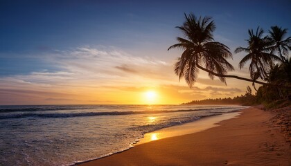 serene beach sunrise with palm trees