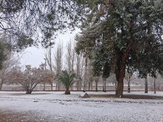 park in winter
