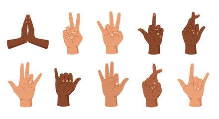 Diverse Hand Gestures A Collection of Illustrated Hand Poses