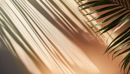 Fototapeta premium tranquil shadows palm leaves on textured blinds in subtle tropical hues