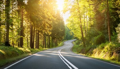 Obraz premium sunny forest road with endless turns