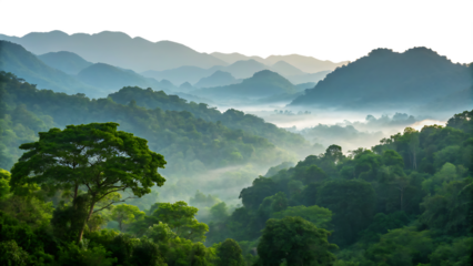 Lush green tropical rainforest landscape with rolling misty mountains and a large tree in the foreground isolated on a transparent background
