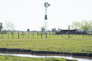 Scenic Windmill in a Lush Green Field Under Blue Sky