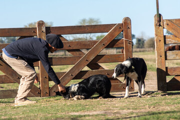 Country Man with Beret Opening Gate for His Dog on a Rural Farm
