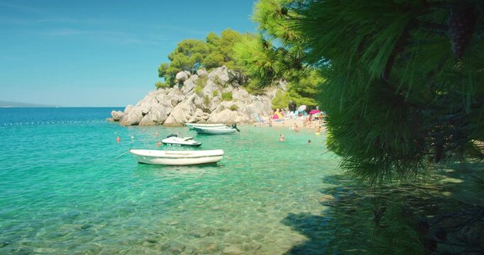 Boats float in turquoise bay near crowded beach with pine trees and rocky cliffs in clear Adriatic Sea