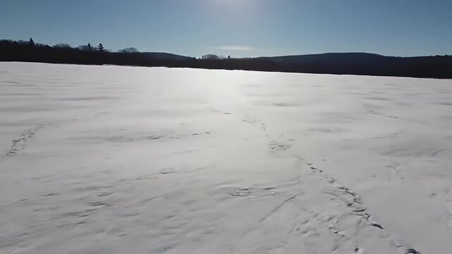 Frozen lake under a clear, winter sky with silhouetted trees in background