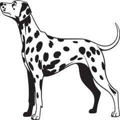 A black and white illustration of a dalmatian dog standing in a profile view on a white background