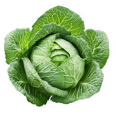 Obraz premium green cabbage isolated on white background. Made with generative ai