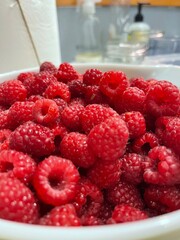 Plentiful Raspberries