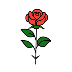 Obraz premium Rose flower red color natural style green leaf celebration design.
