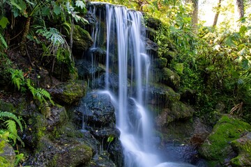 Naklejka premium waterfall in the forest