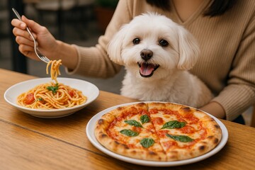 Maltese Dog Sitting at Table with Pasta and Pizza

