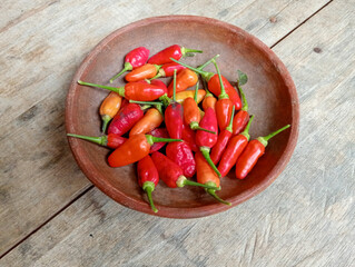 red hot chili peppers on clay pot. 