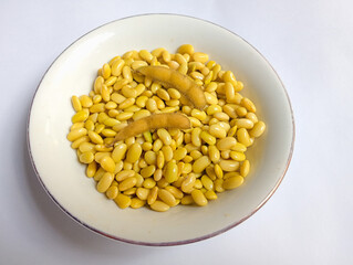 Yellow soybean isolated white background. 