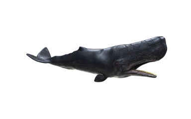3d Illustration of A Graceful sperm whale glides through deep ocean, surrounded by mystery and silent marine beauty.