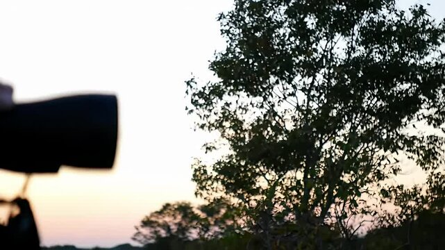 Hand holds monocular against blurred bokeh, nature observation scene