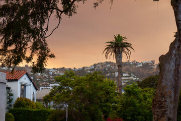 Eerie Wildfire Smoke Clouds Shroud Los Angeles Hollywood Hills View