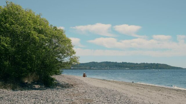Golden Gardens Park Beach &ndash; Sunny Day, Sandy Shore & Green Coastal Hills. Sandy beach beside Puget Sound, with a single tree in the corner and lush Seattle green hills 
