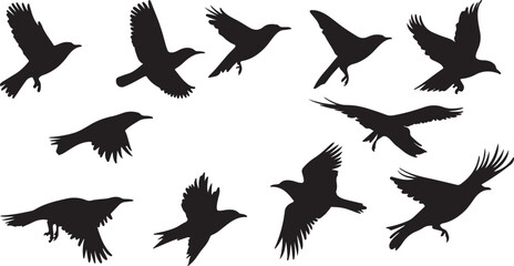 Obraz premium Flying Bird Silhouettes Collection - Vector Black Bird Illustrations