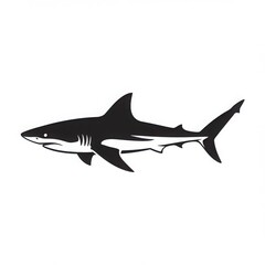 Obraz premium Stylized silhouette of a great white shark isolated on white background