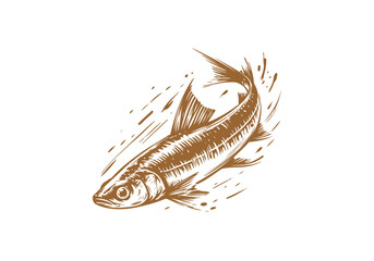 Minnow Fish Hand Drawn Natural Illustration Vector Isolated by AZ for Books, Arts, Design and Decoration Graphic Asset