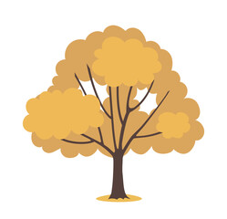 Autumn tree with yellow foliage. Vector illustration