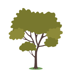 Tree with green foliage on white background. Vector illustration