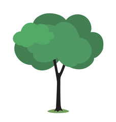 Green tree with leafy canopy design. Vector illustration