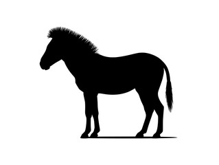 donkey silhouette isolated on white , a silhouette of a donkey standing in profile on a white background