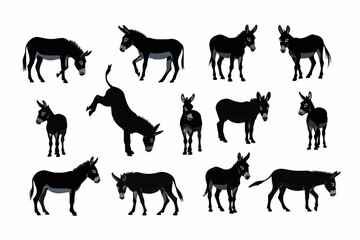 Obraz premium donkey silhouettes vector , various poses of black donkeys on a white background