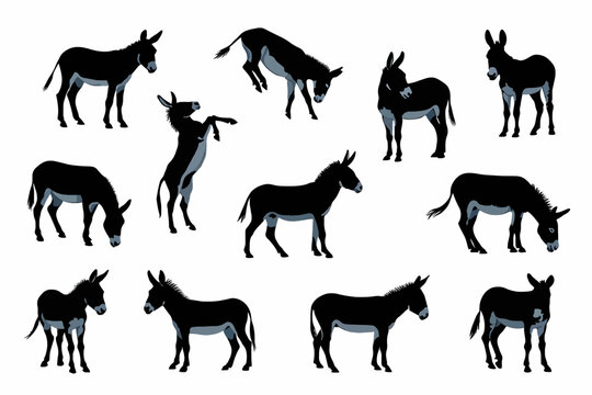 donkey silhouettes vector , collection of black donkey silhouettes in various poses on white backdrop
