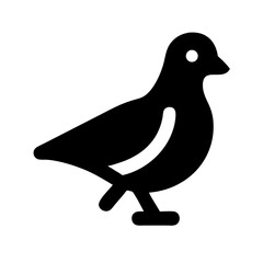 pigeon icon