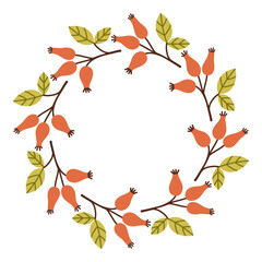 Autumn berry circle frame. Round border made of fall berries. The berries have different shapes and are arranged in a circle. Vector flat isolated on white background.