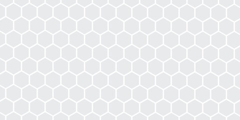 Seamless pattern of the hexagonal netting