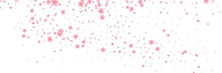 Cherry Blossoms Japanese Pattern Watercolor Background  from full bloom in spring fluttering in the wind on a white background