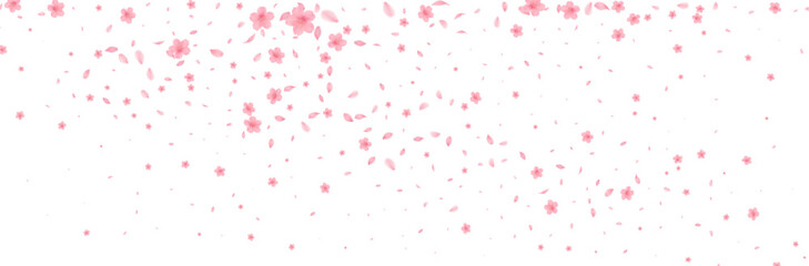 Cherry Blossoms Japanese Pattern Watercolor Background  from full bloom in spring fluttering in the wind on a white background